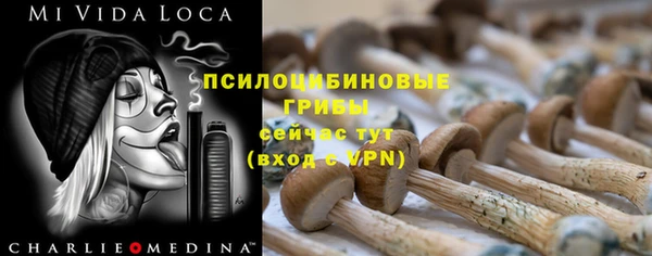 скорость Алзамай