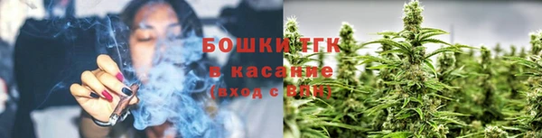 дмт Алексеевка