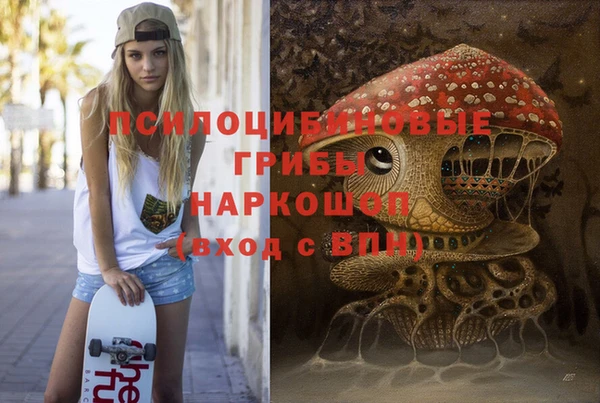 скорость Алзамай