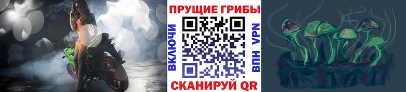 сколько стоит  МЕГА ссылки  Псилоцибиновые грибы Cubensis  Сосновый Бор 