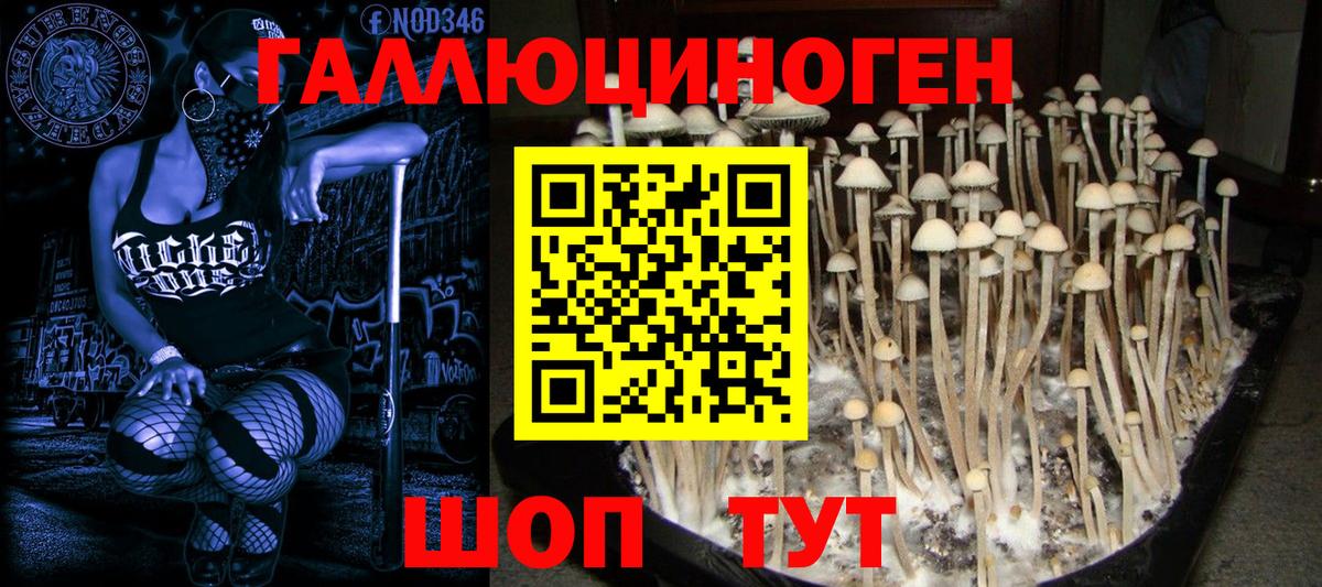 Псилоцибиновые грибы мухоморы Сосновый Бор