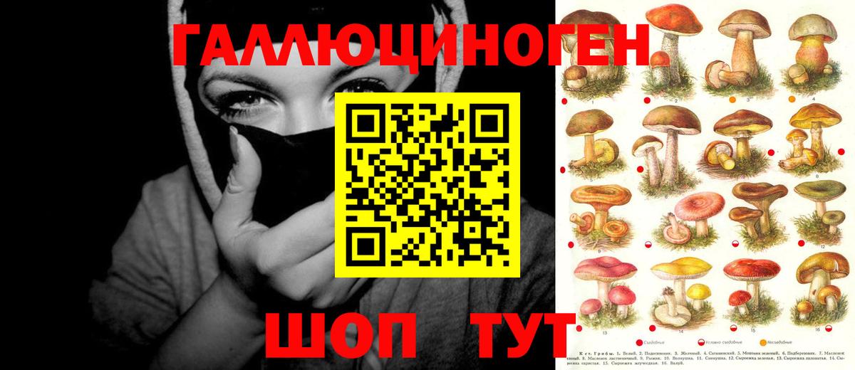 Сосновый Бор  Псилоцибиновые грибы GOLDEN TEACHER  Вход с VPN 